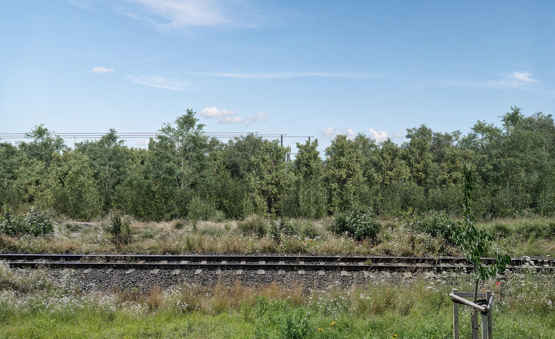 BESS Batteriespeicher van Gogh Sichtschutz BESS Batteriespeicher van Gogh Sichtschutz